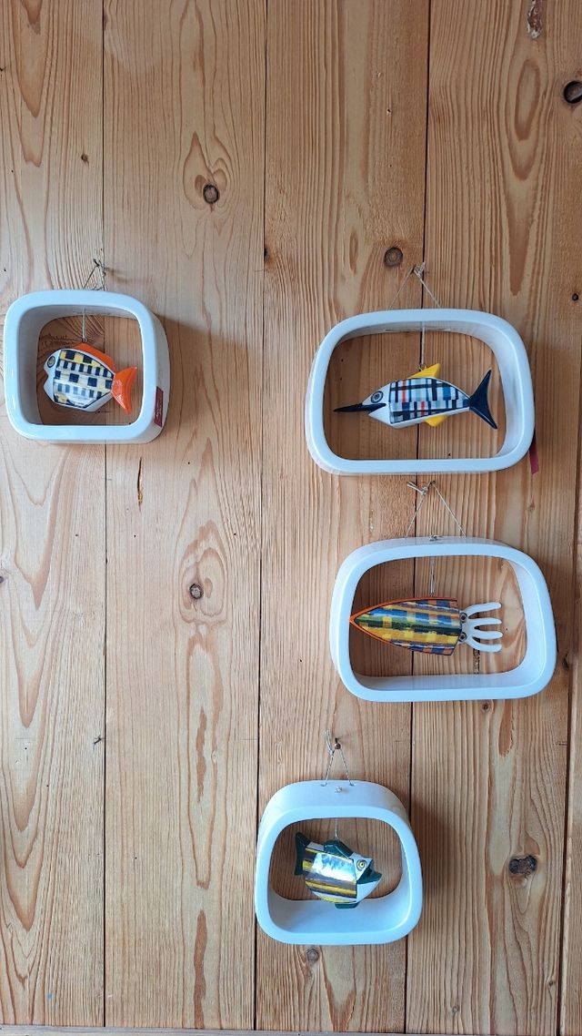 quadretti pesci terre di scirocco 4pz