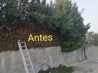 Limpieza y desbroces 