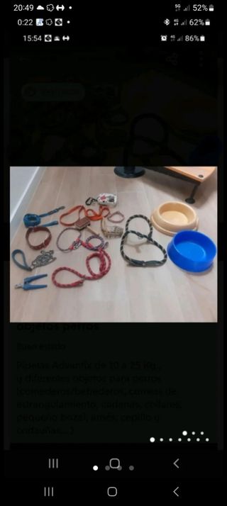 Diferentes objetos para perros 🐕