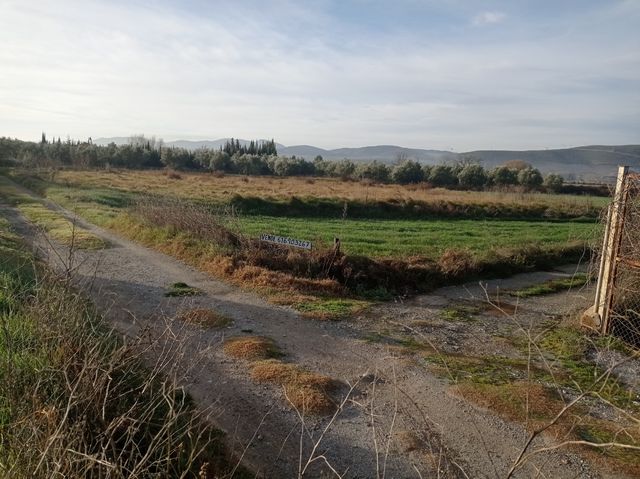 Terreno en venta