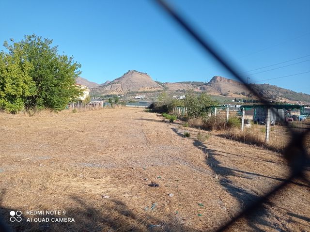 Terreno en alquiler
