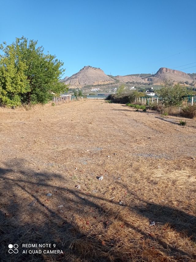Terreno en alquiler