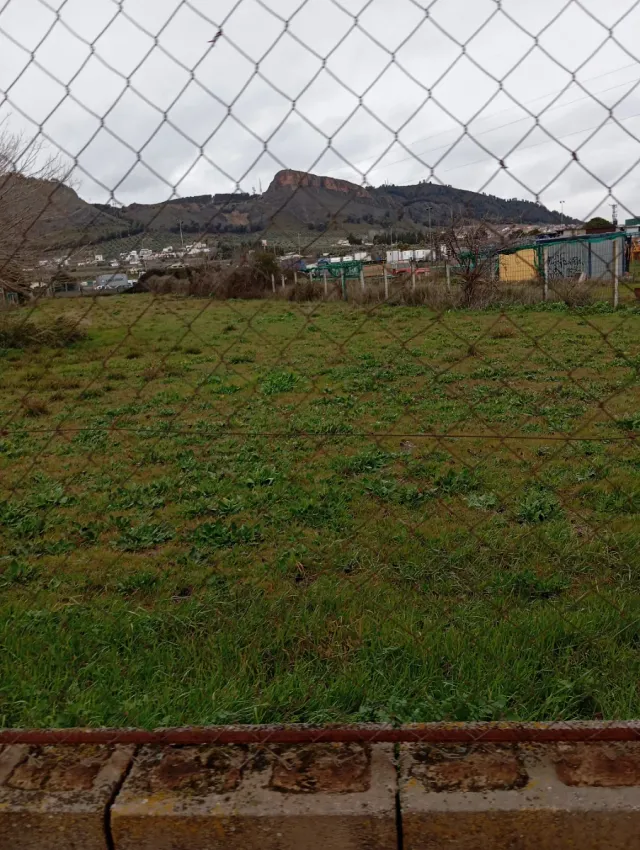 Terreno en alquiler