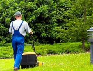 Jardinero economíco 