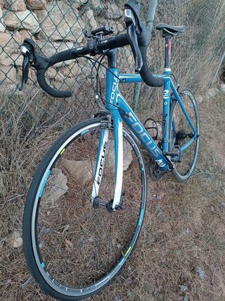 Bicicleta de carbono Focus Cayo