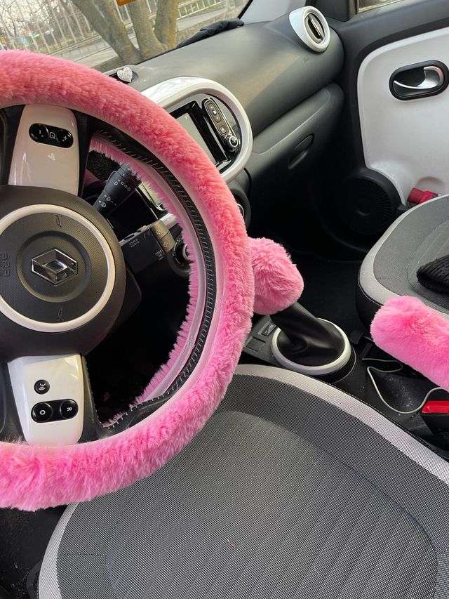 accessori pelosi auto