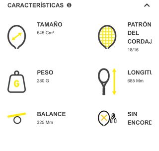 Raqueta Tenis Wilson Burn 100 LS V 5 