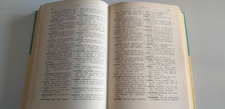 Prontuario etimologico della lingua italiana