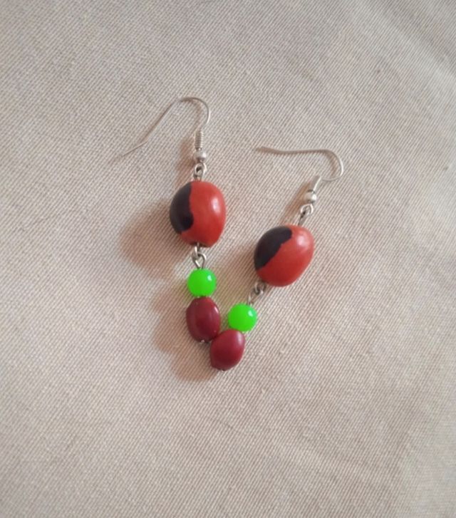 Pendientes de semillas rojas handmade