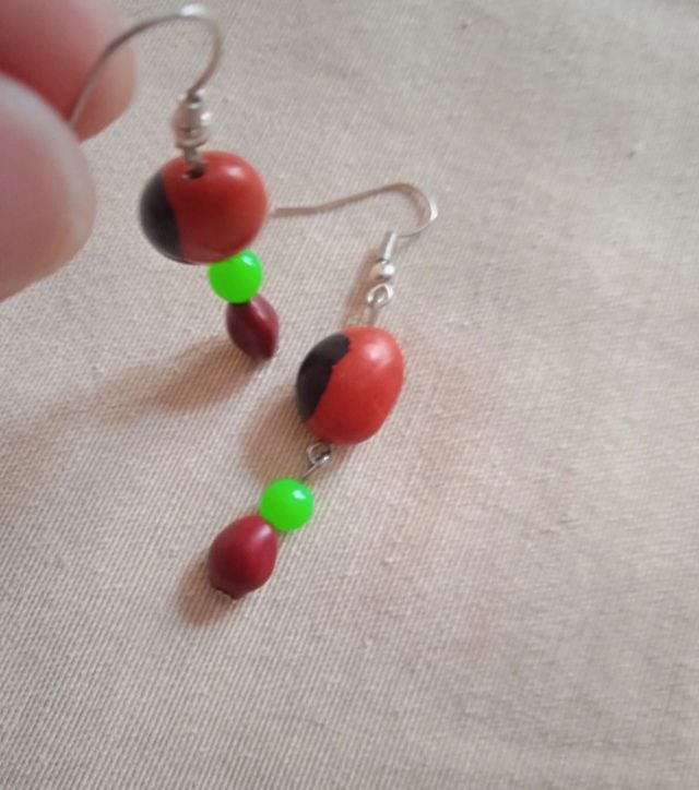 Pendientes de semillas rojas handmade