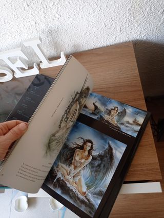 Libro ilustrac PROHIBITED BOOK 2 Luis Royo firmado