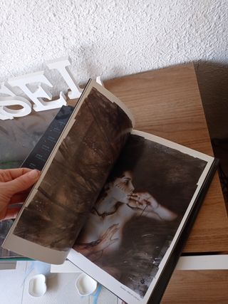 Libro ilustrac PROHIBITED BOOK 2 Luis Royo firmado