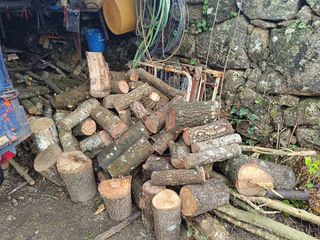 Se vende leña