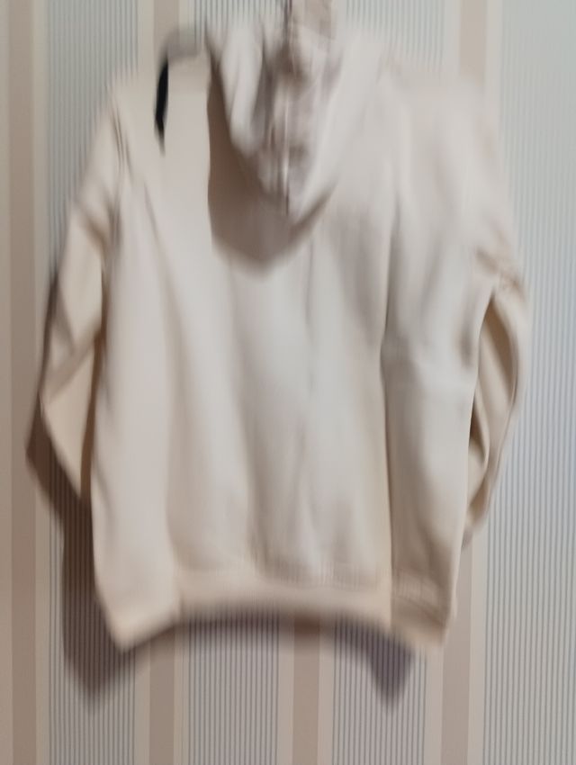 Sudadera de hombre con capucha 