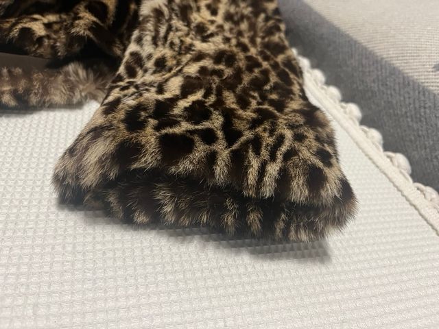 chaqueta de ocelote natural