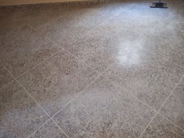 Pulidos suelo profesional 