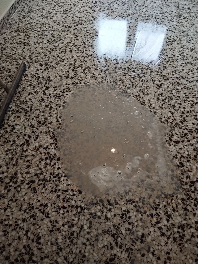 Pulidos suelo profesional 