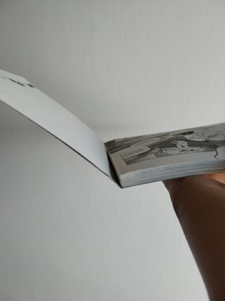 Saga delle sirene il bosco segno la maschera manga