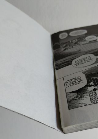 Saga delle sirene il bosco segno la maschera manga