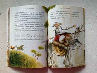 Don Quijote (adaptado)