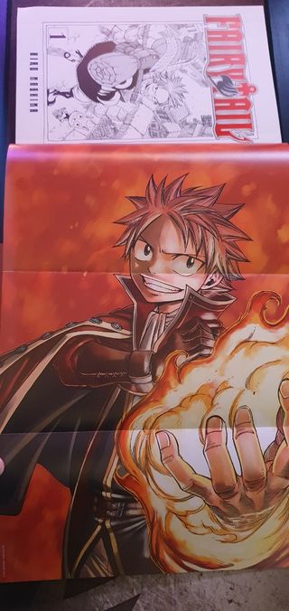 Fairy Tail Manga 1-5 edición integral