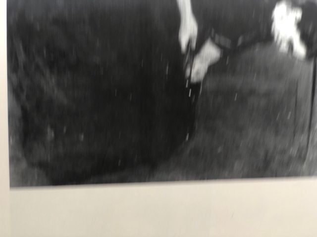 Libro antiguo “PINTURAS y Pintores Real Colegio”