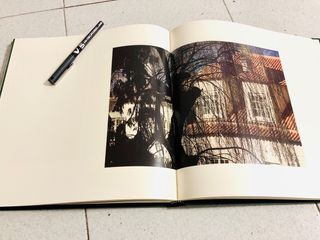 Pontevedra: o día que perdemos o mar