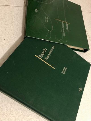 Pontevedra: o día que perdemos o mar