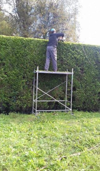 Jardinero economíco