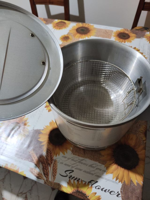 Friggitrice Termozeta frt20