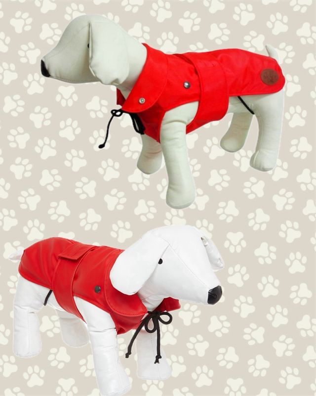 Cappottino per cani 2 in 1 London Plus