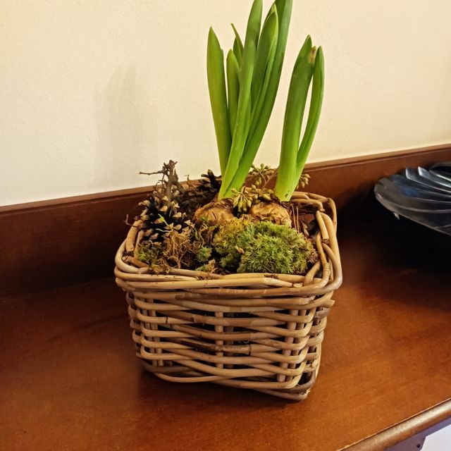 Cesto in vimini con fiocco marrone