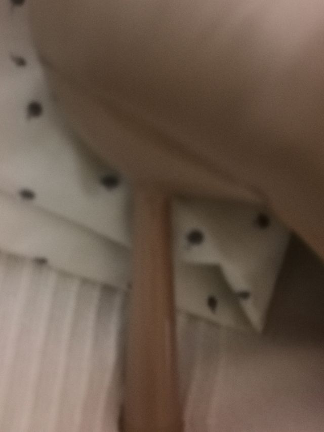 Botas, botines calcetín?