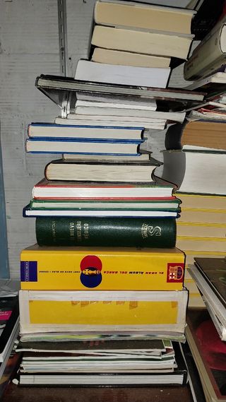 Lote de 200 libros diferentes a elegir