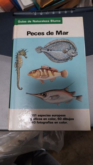 Lote de 200 libros diferentes a elegir