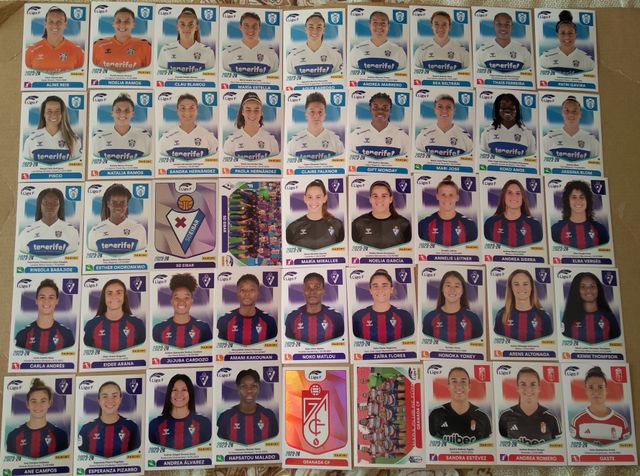  liga futbol femenino 23-24 y copa america 2011