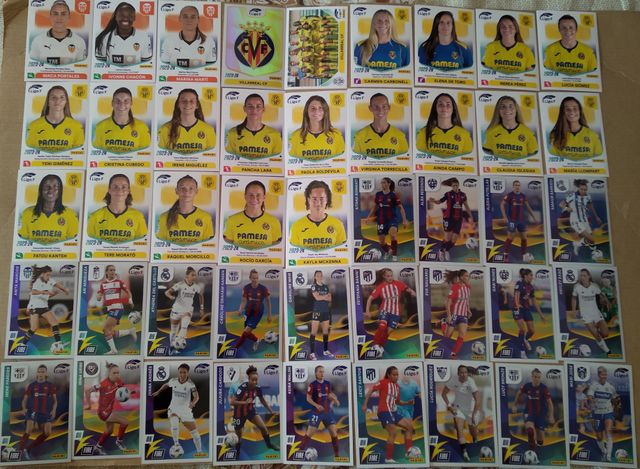  liga futbol femenino 23-24 y copa america 2011