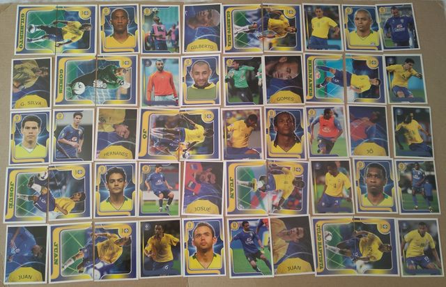 Campeones brasil y estrellas seleccion 2010