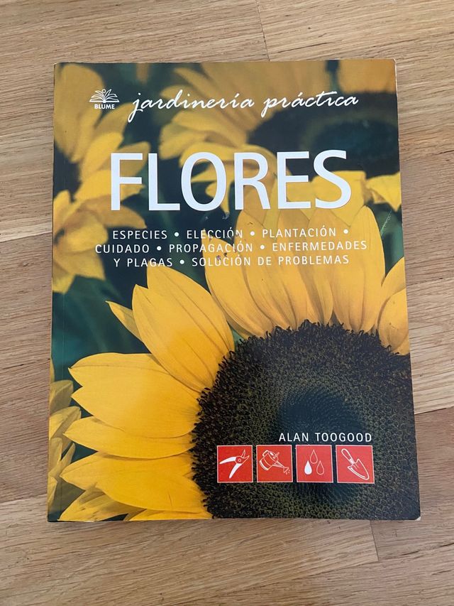 jardineria practica: flores