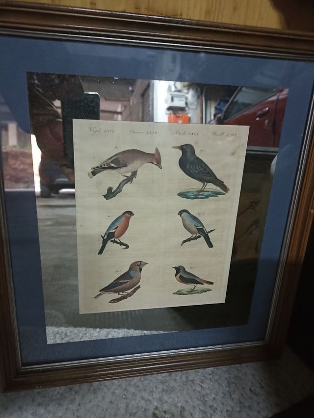 Quadri specchi vintage