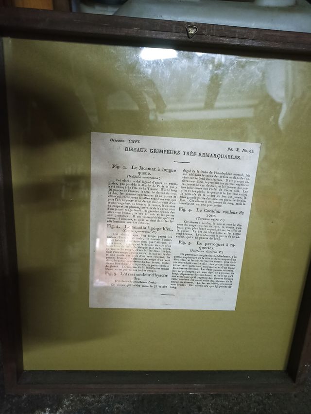 Quadri specchi vintage