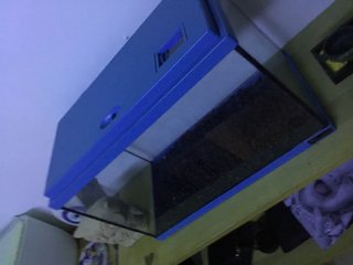 Acuario