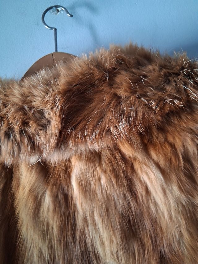 Abrigo zorro del país.