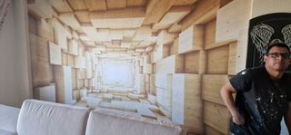 Pintor profesional y económico