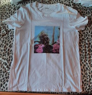 2 Maglie maniche corte tezenis