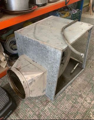 Campana
