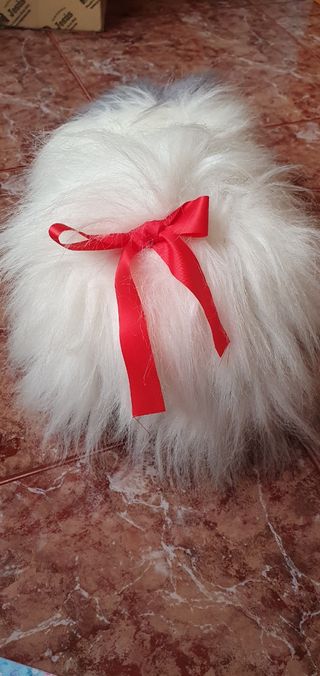 SILVESTRE EL GATO DE PIOLÍN COLECCIONISMO