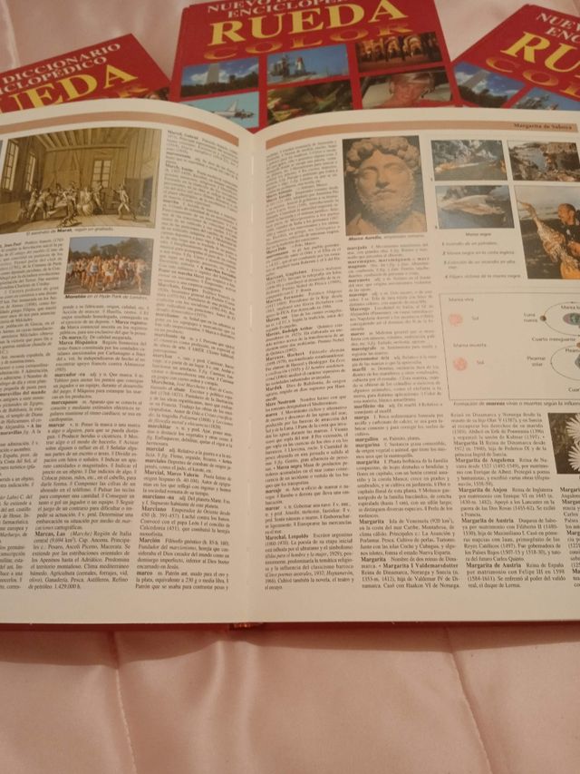 DICCIONARIO ENCICLOPÉDICO