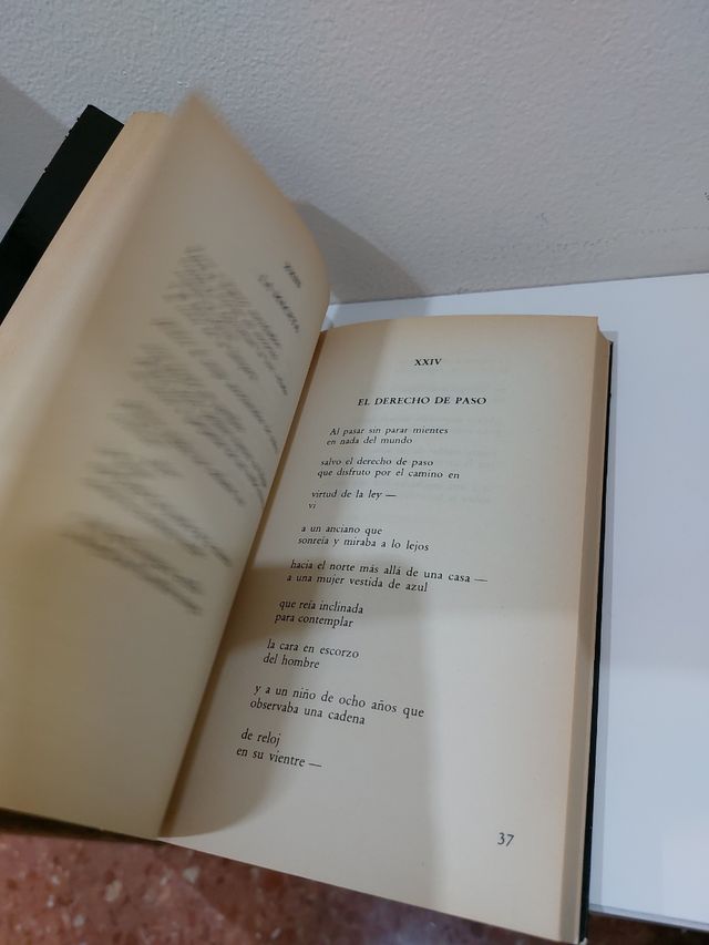Libro Cien poemas