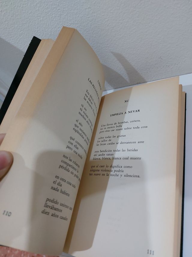 Libro Cien poemas